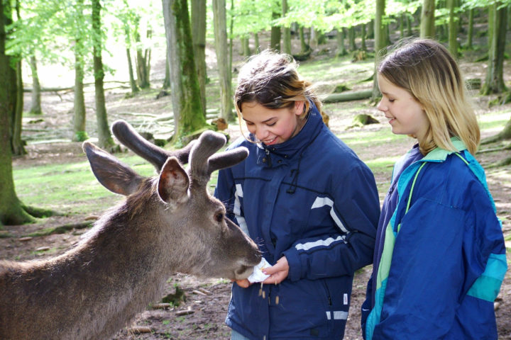 Bergwildpark Meißner