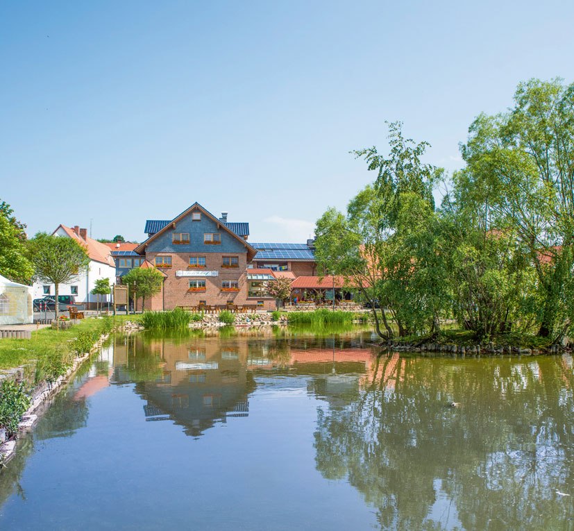 Der Teichhof, RinggauGrandenborn GrimmHeimat Nordhessen ENTDECKEN