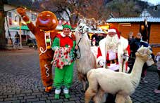 Borkener Weihnachtsmarkt