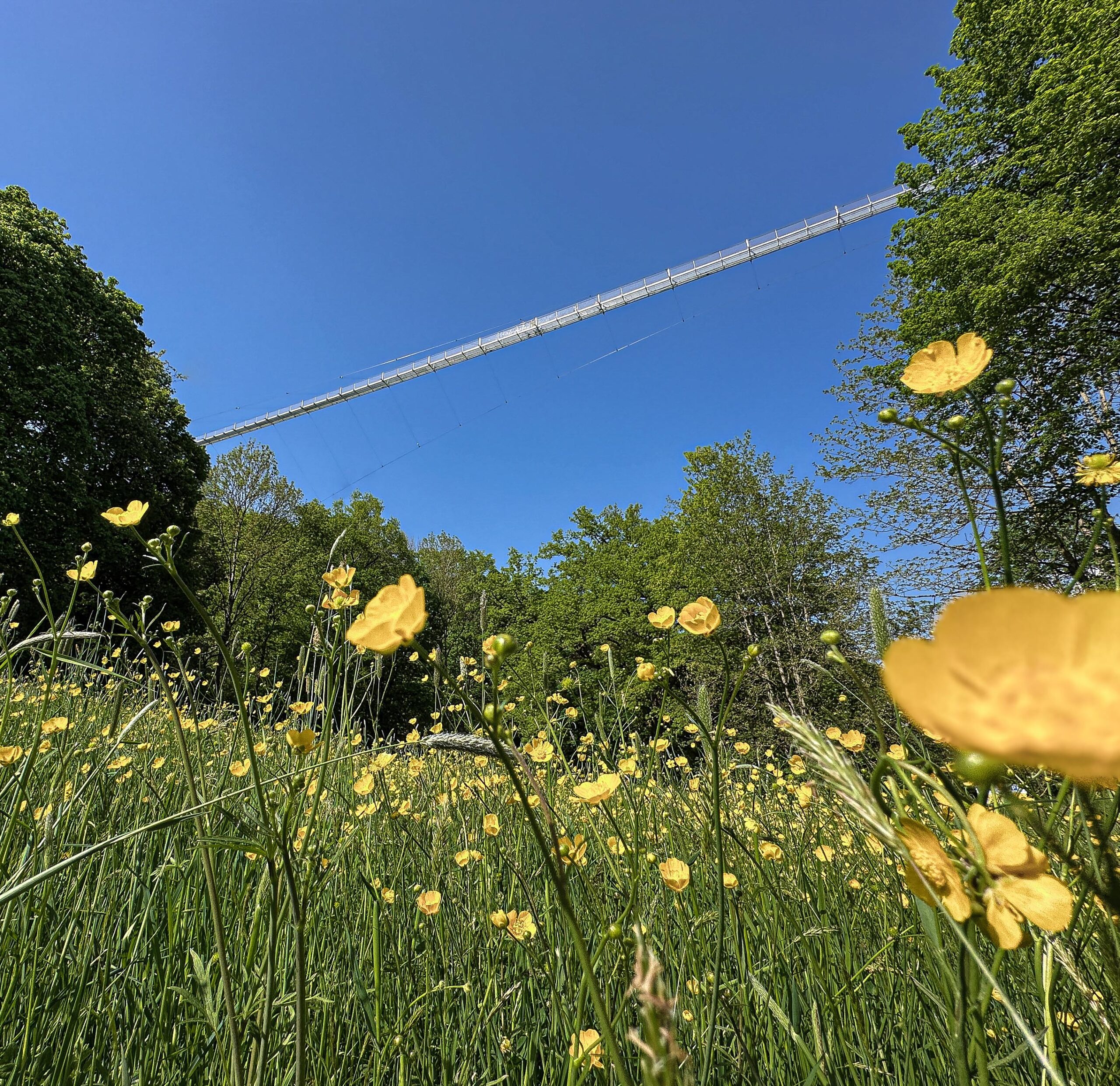 GrimmHeimat-Magazin Highwalk Rotenburg an der Fulda